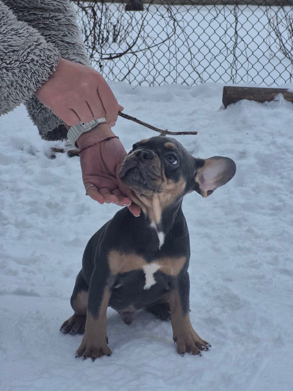 Марс шукає родину🌙