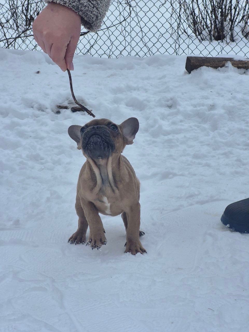 Зайка шукає дім