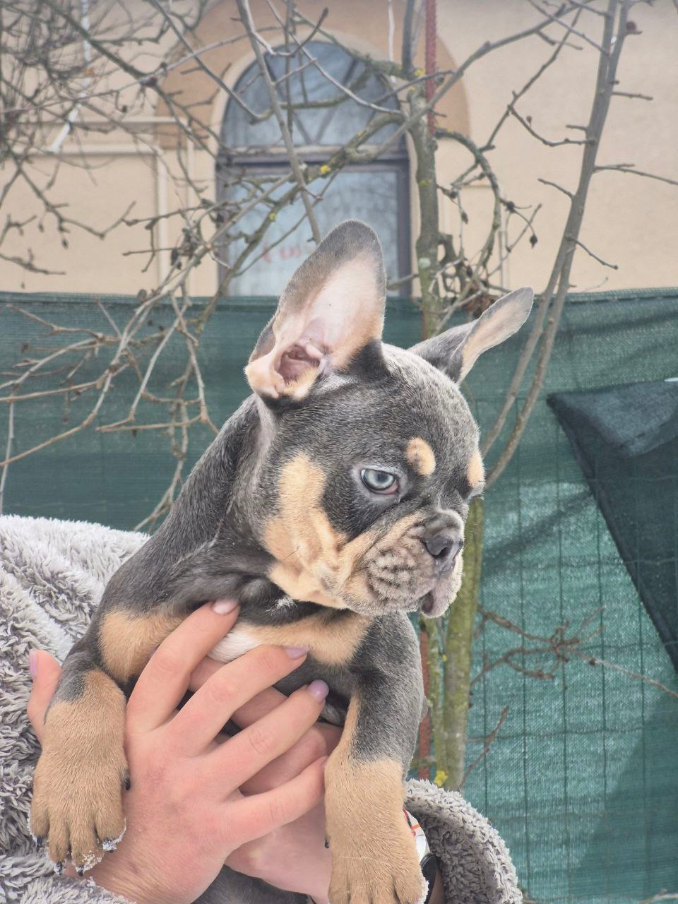 Марс шукає родину🌙