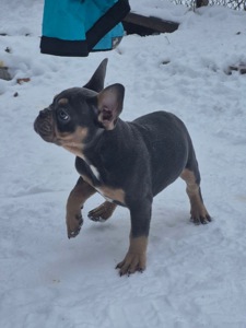 Марс шукає родину🌙