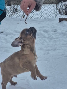 Зайка шукає дім