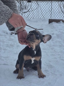 Марс шукає родину🌙