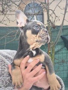 Марс шукає родину🌙