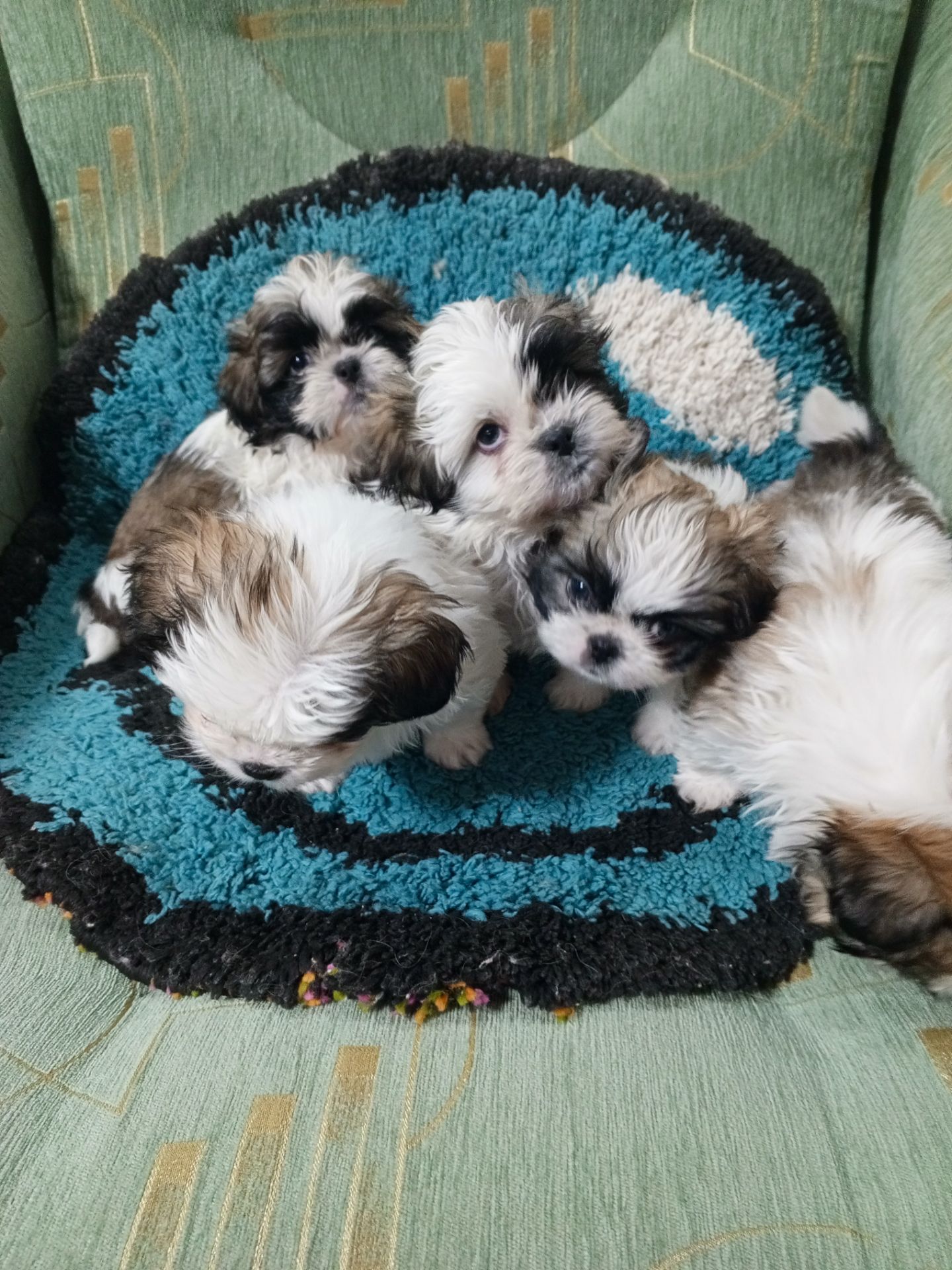 Наталія Горбатюк