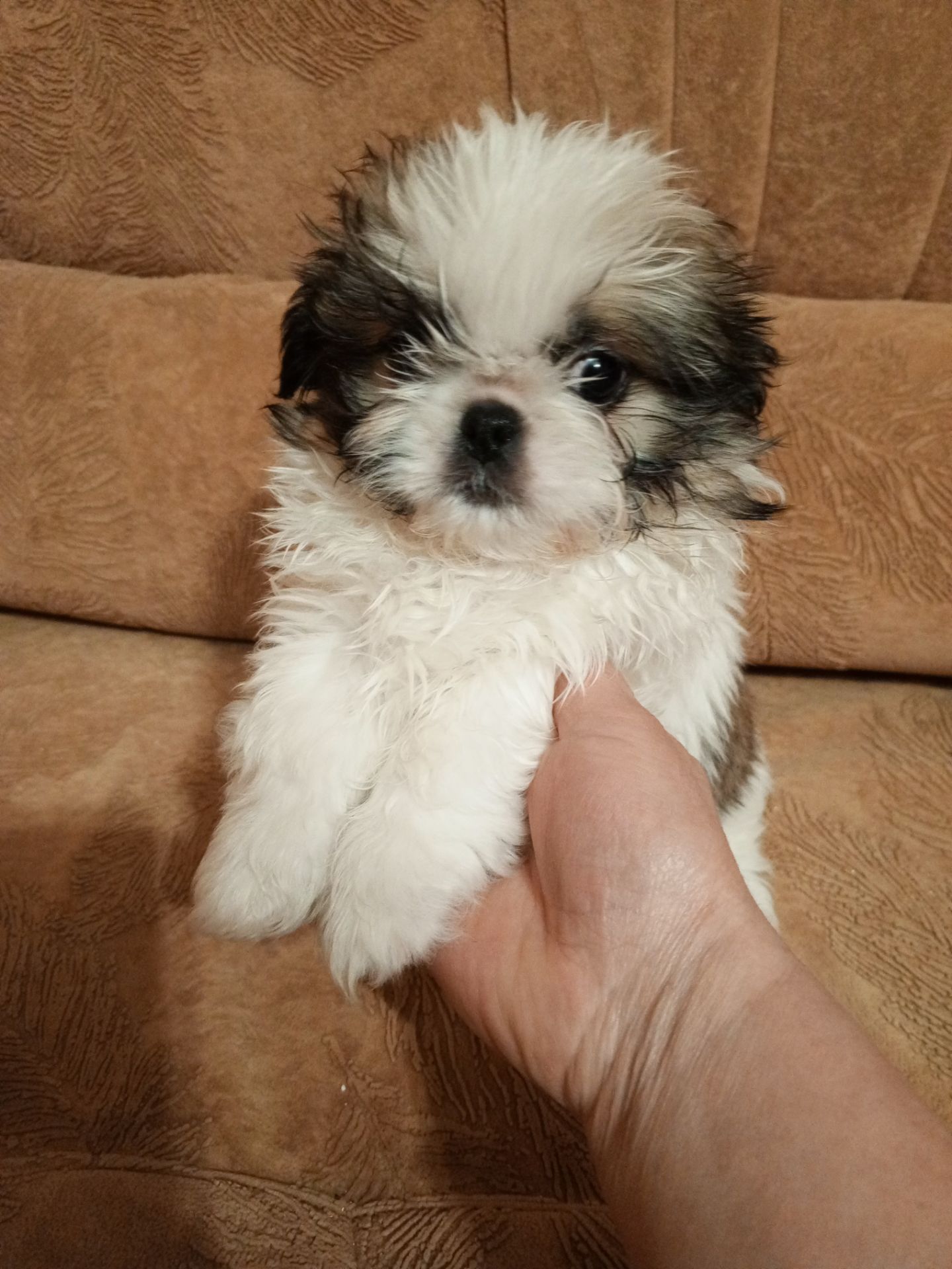 Наталія Горбатюк