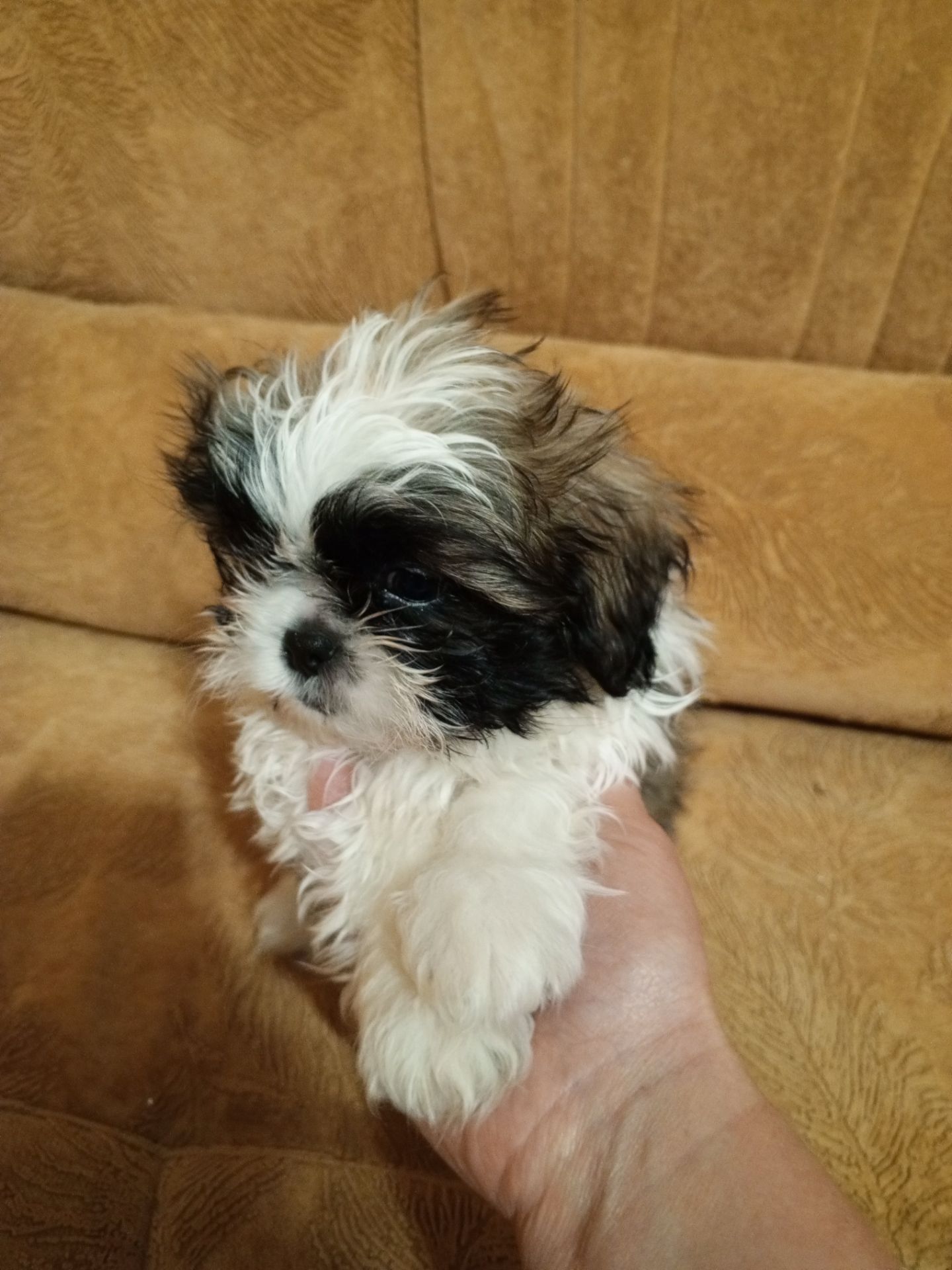 Наталія Горбатюк