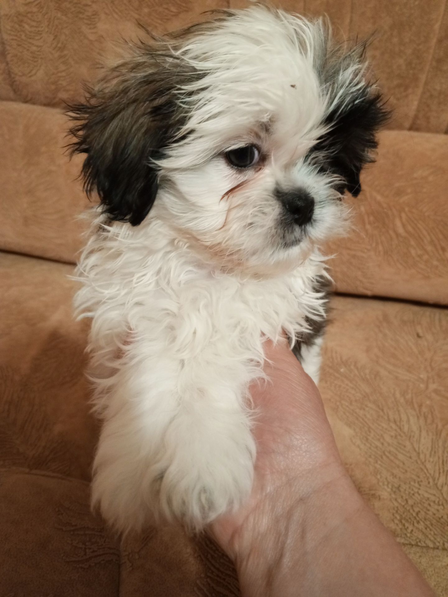 Наталія Горбатюк