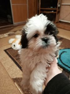 Наталія Горбатюк