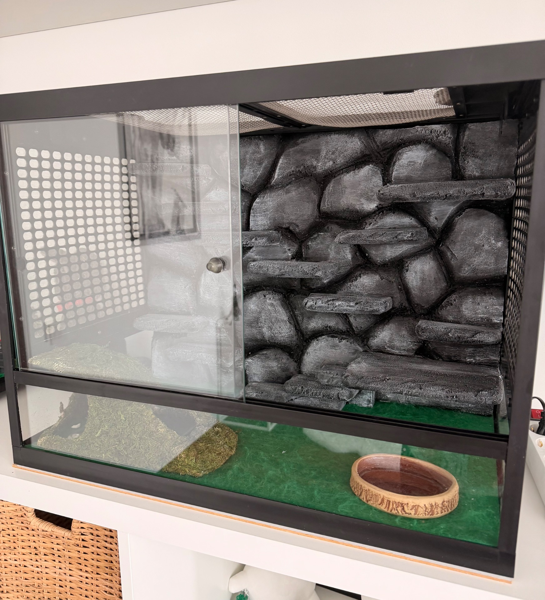 Дівчинка еублефар з тераріумом