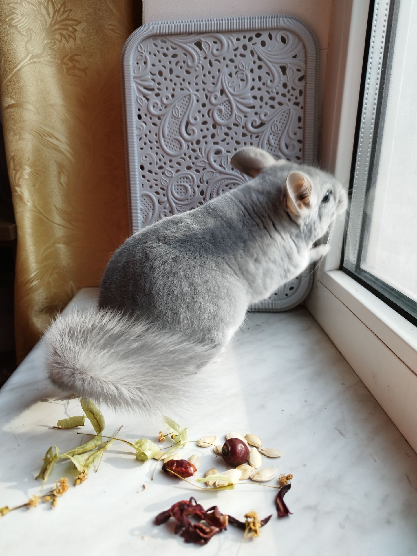 Хлопчик блакитний діамант