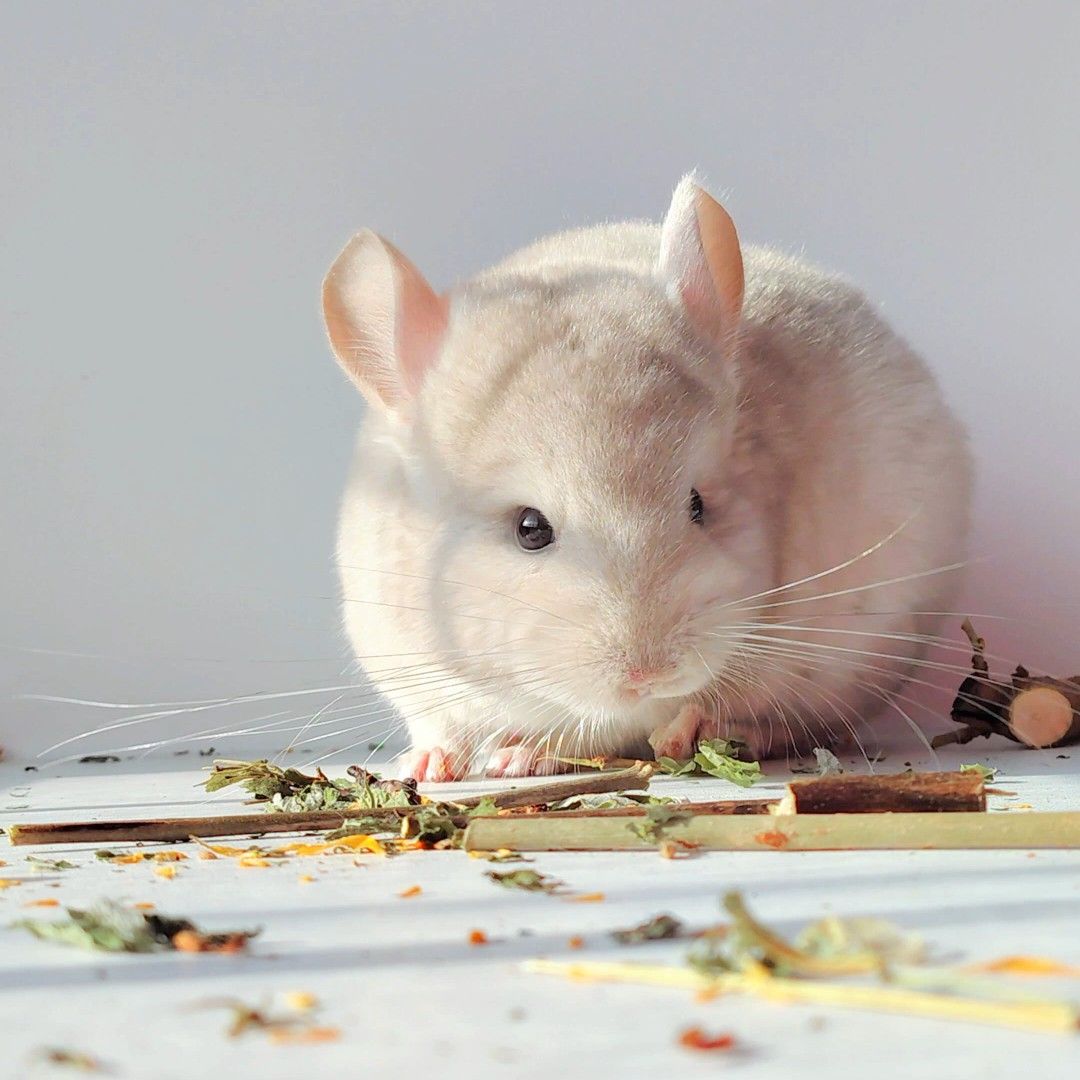 Милий хлопчик 💛