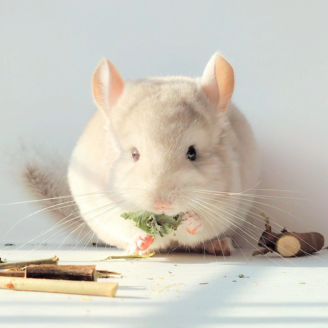 Милий хлопчик 💛