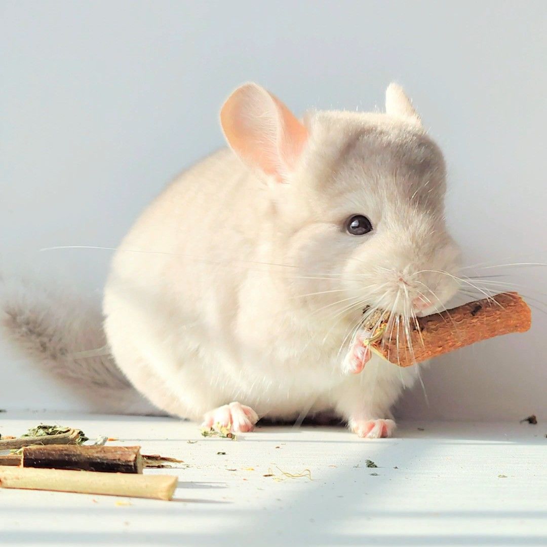 Милий хлопчик 💛