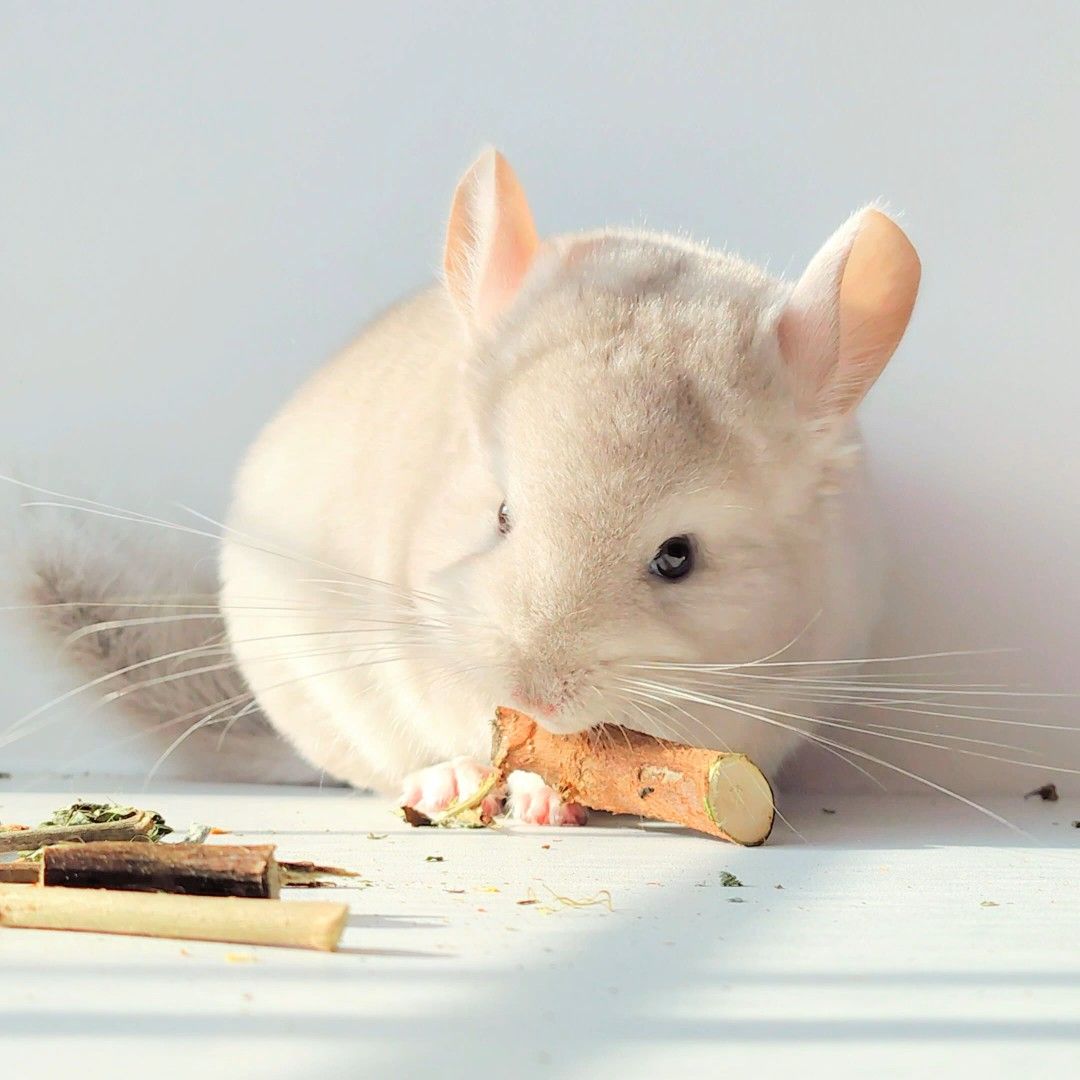 Милий хлопчик 💛