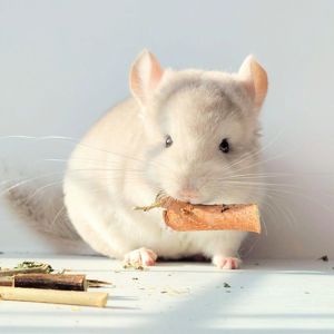 Милий хлопчик 💛