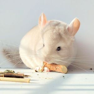 Милий хлопчик 💛