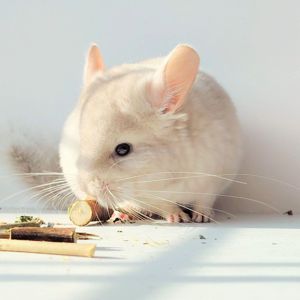 Милий хлопчик 💛