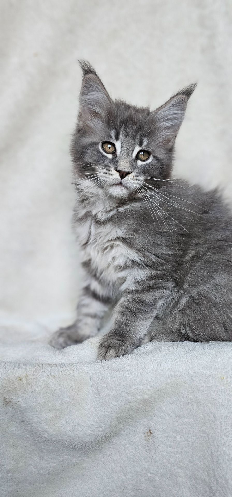 Девочка в красивой шубке