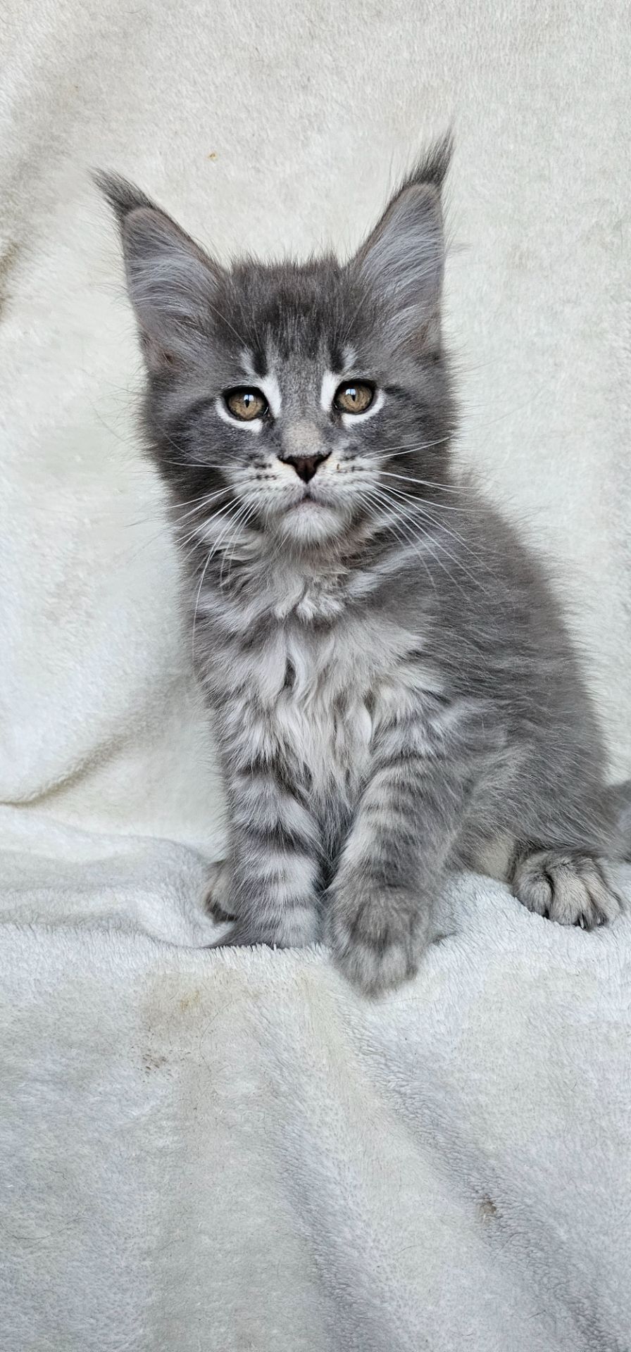 Девочка в красивой шубке