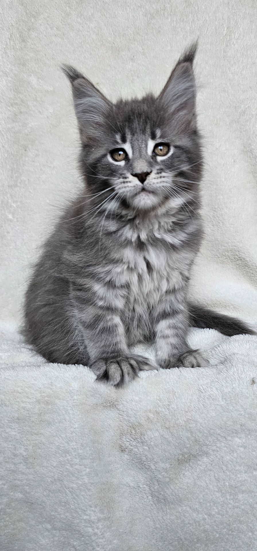 Девочка в красивой шубке