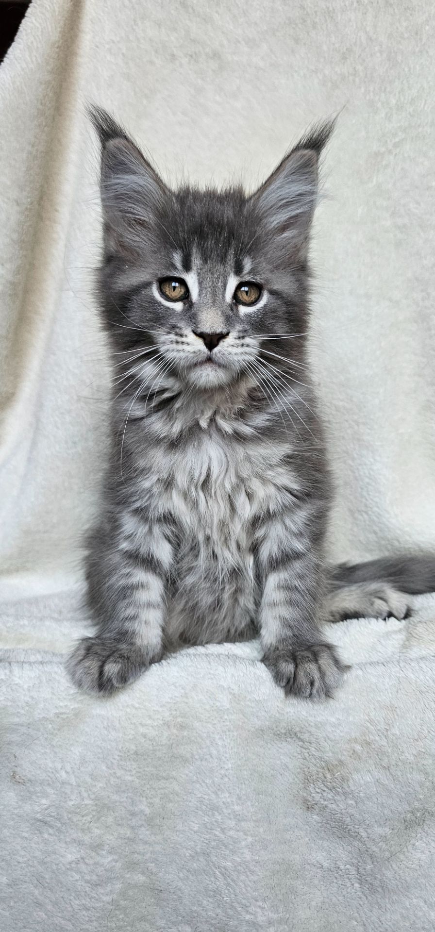 Девочка в красивой шубке