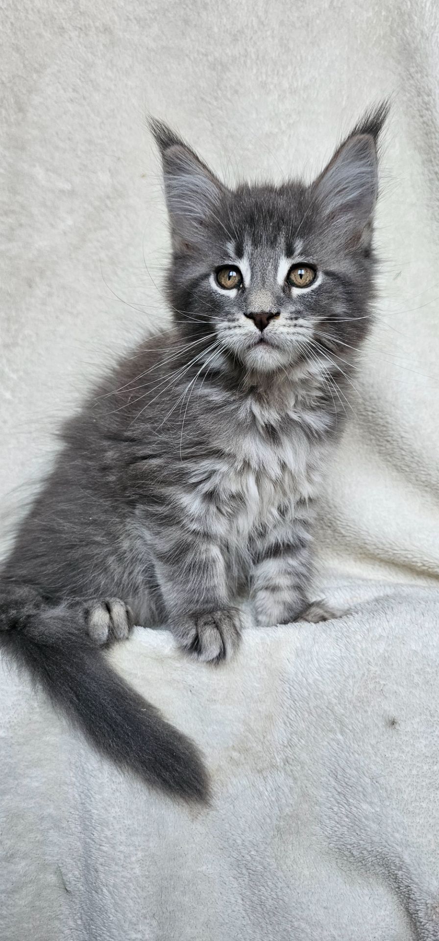 Девочка в красивой шубке