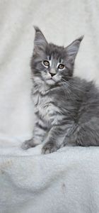 Девочка в красивой шубке