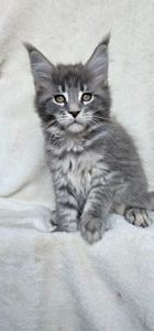 Девочка в красивой шубке