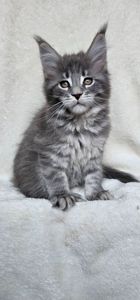 Девочка в красивой шубке