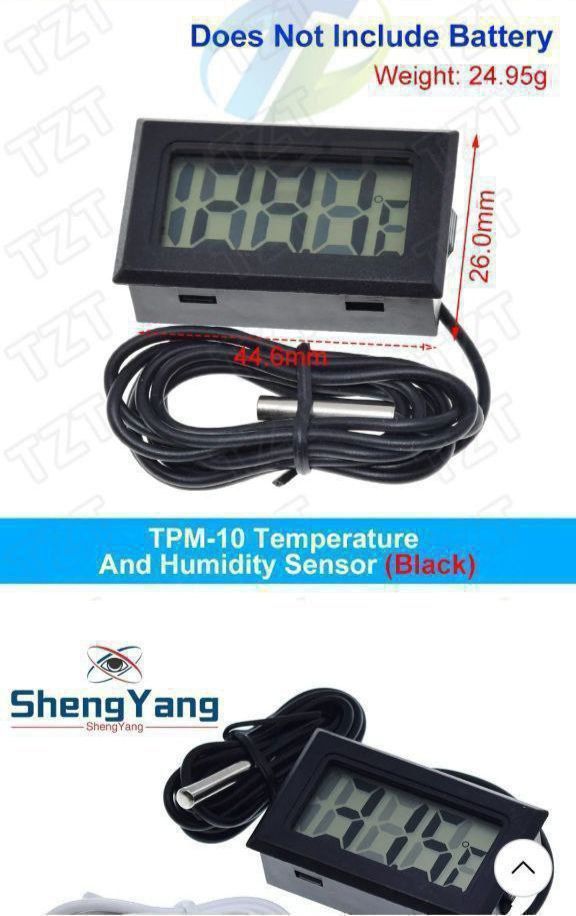 Техаський щурячий полоз ( обсолета) леуцисти, малюки 2025 року