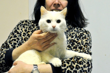 Амур (Малиш)