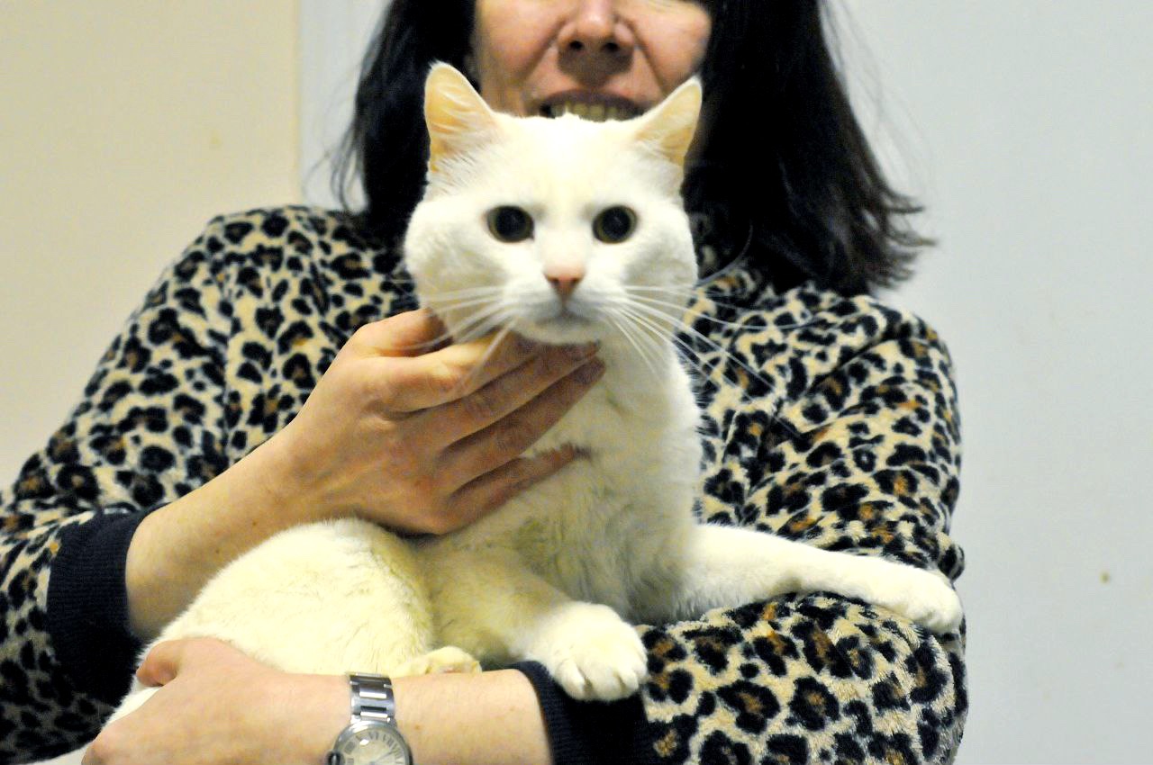 Амур (Малиш)