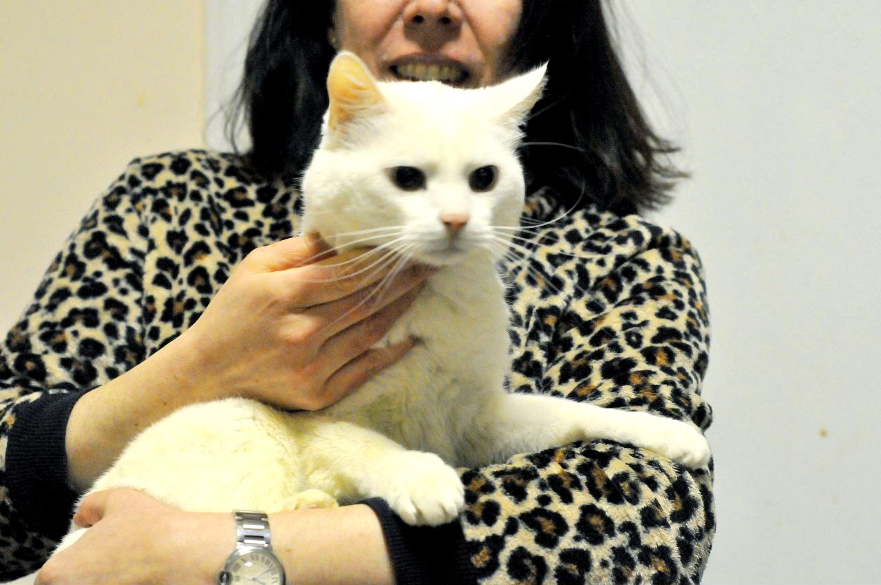 Амур (Малиш)