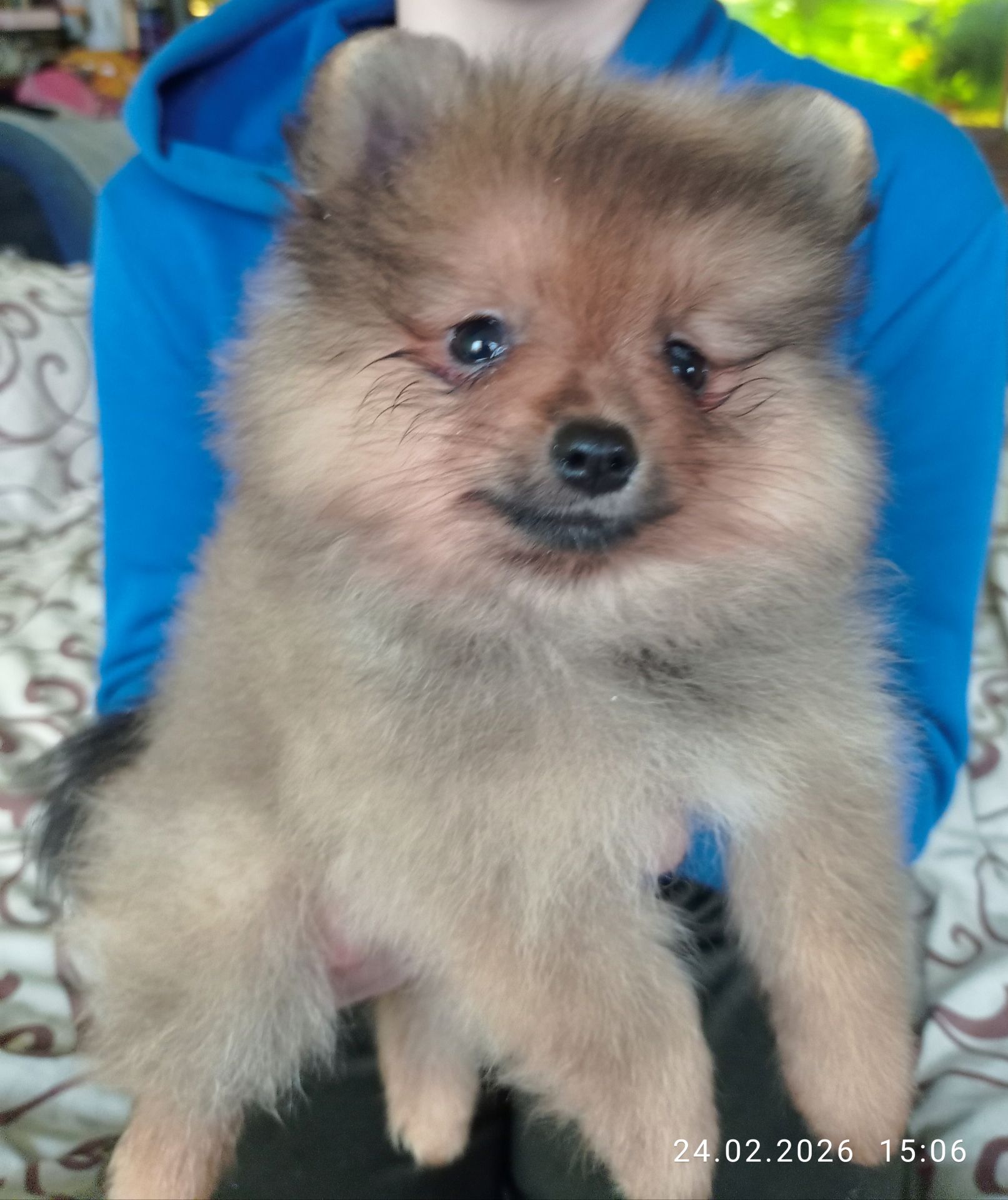 Чарівна дівчинка