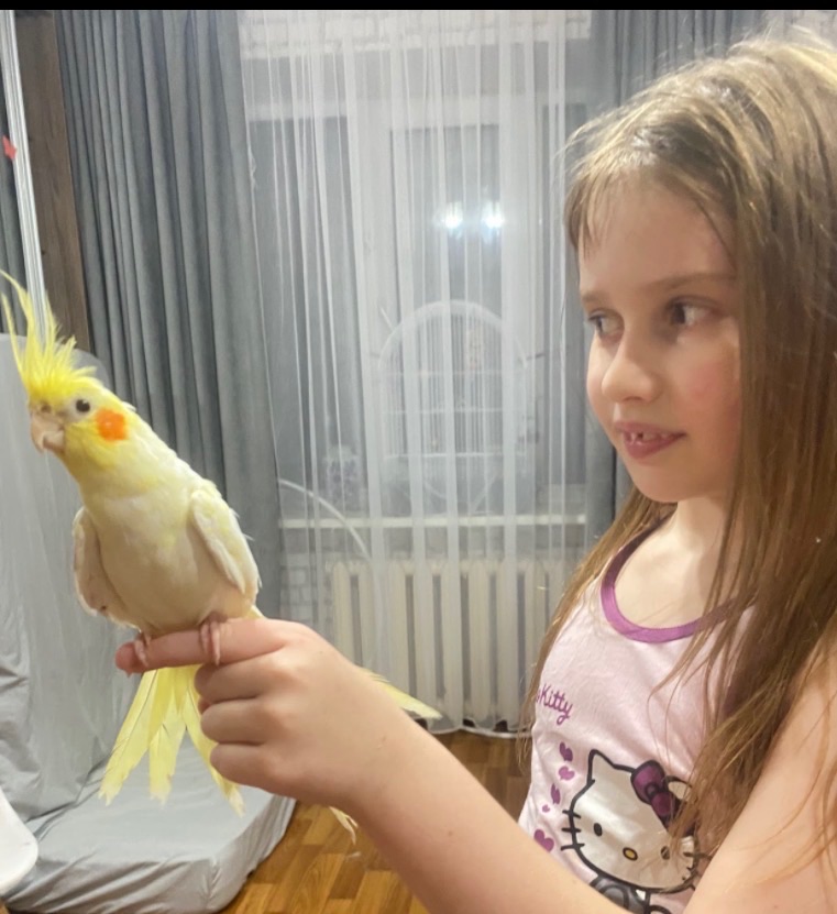 Гарнюня Сонік в добрі руки