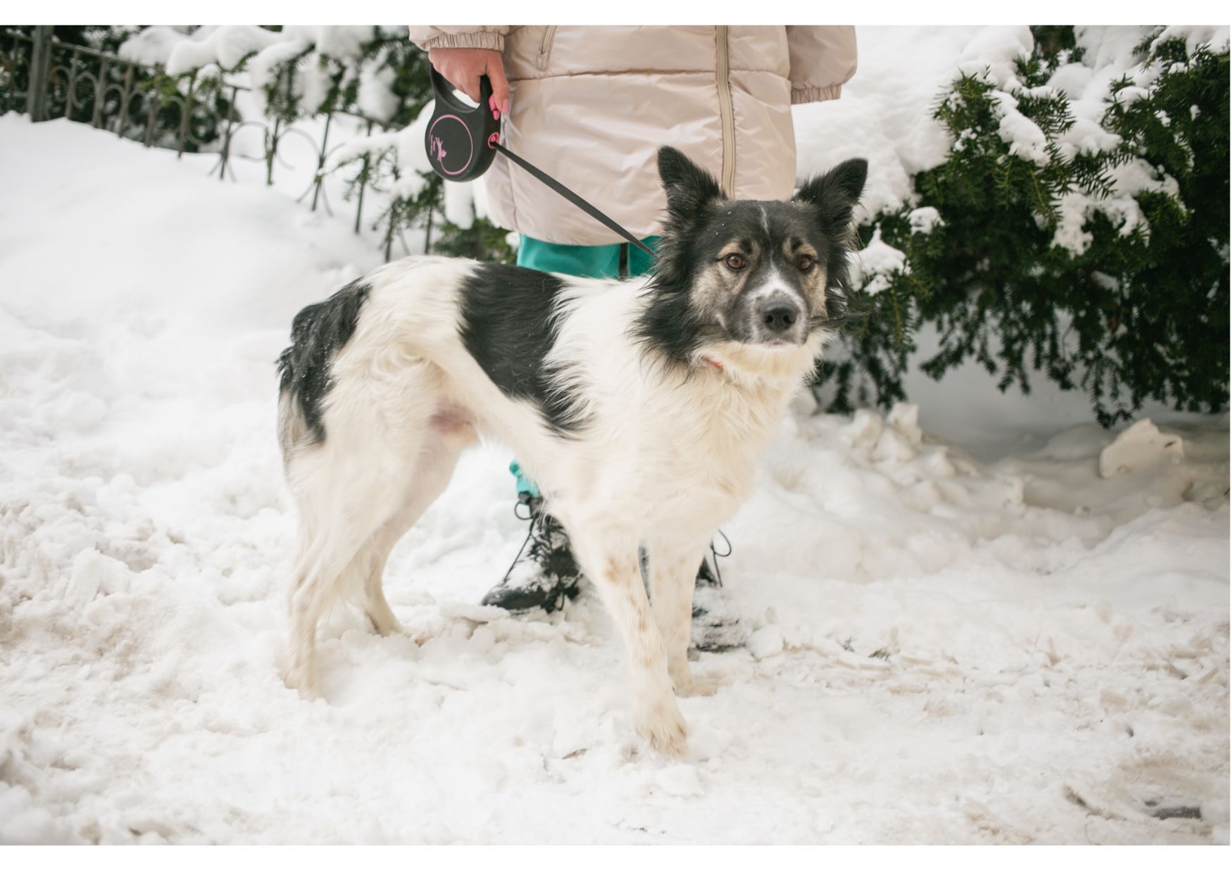 Унікальний хлопчик Бім засиджується на перетримці в очікуванні своїх людей