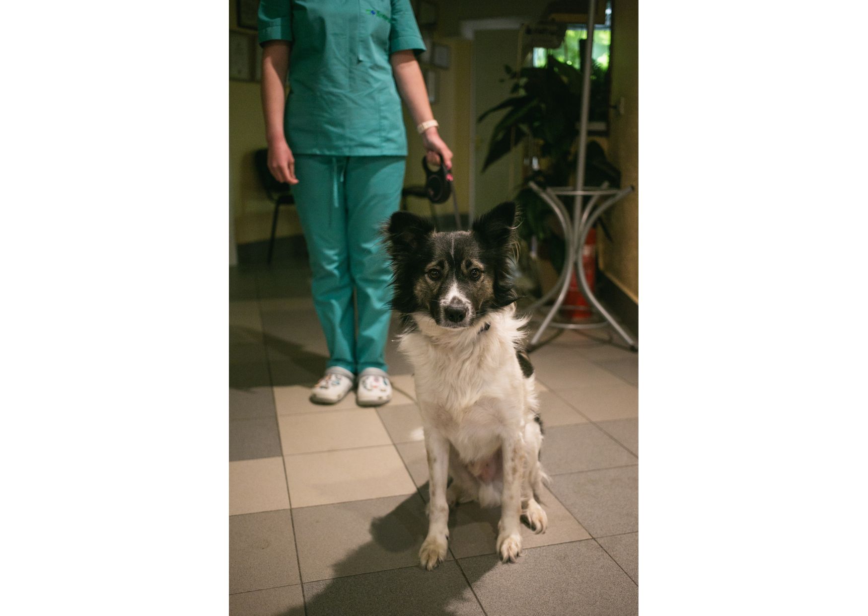 Унікальний хлопчик Бім засиджується на перетримці в очікуванні своїх людей