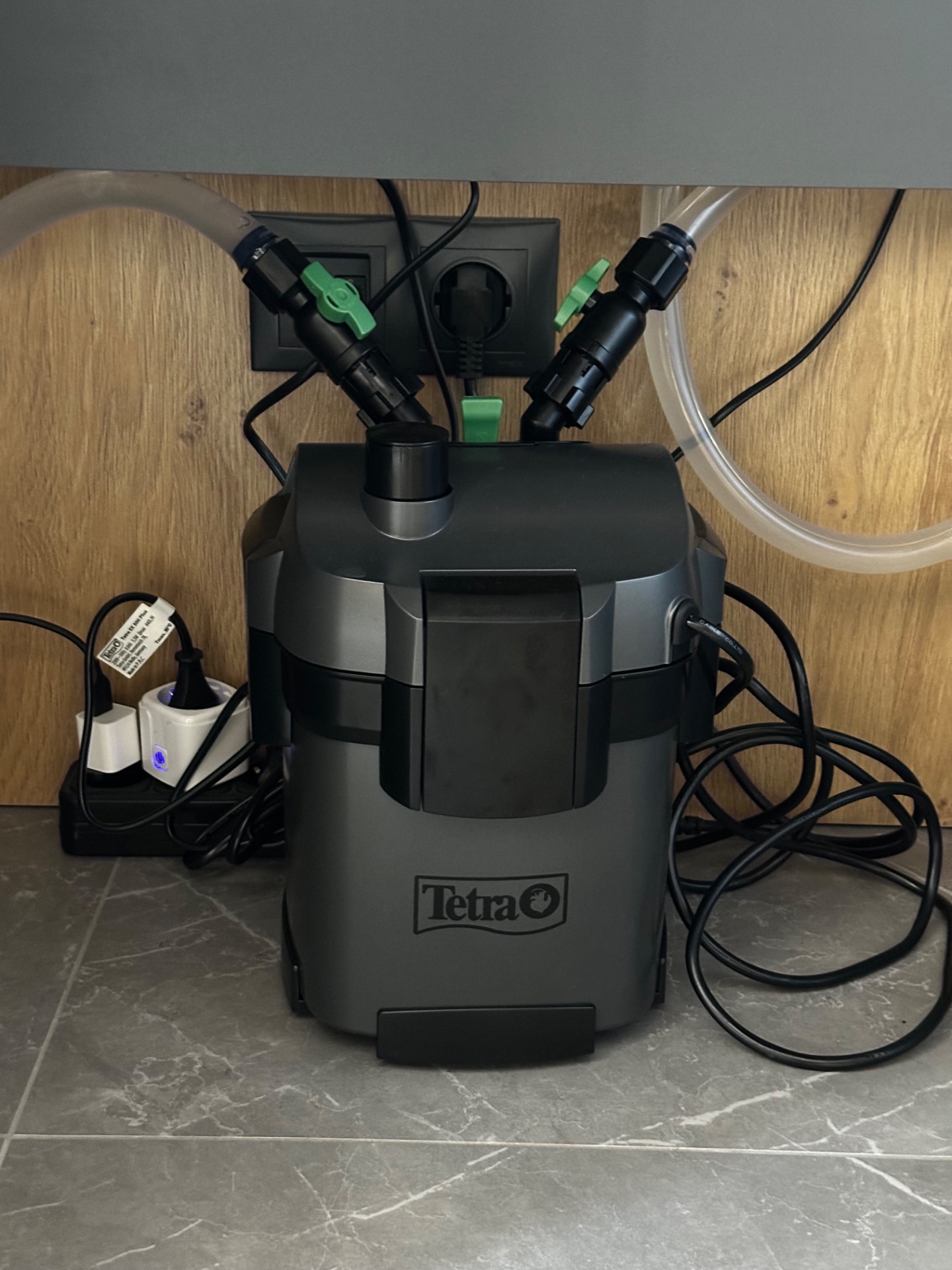 Віддам черепаху в хороші руки