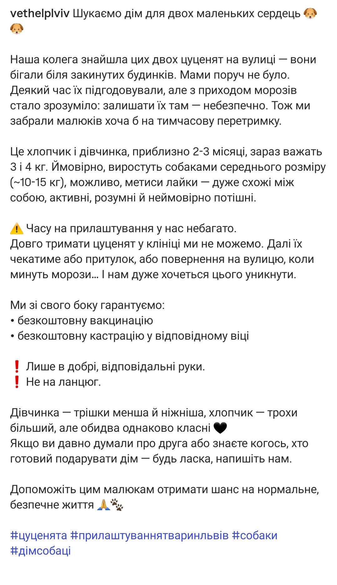 Дім малюкам, врятованим з морозу!