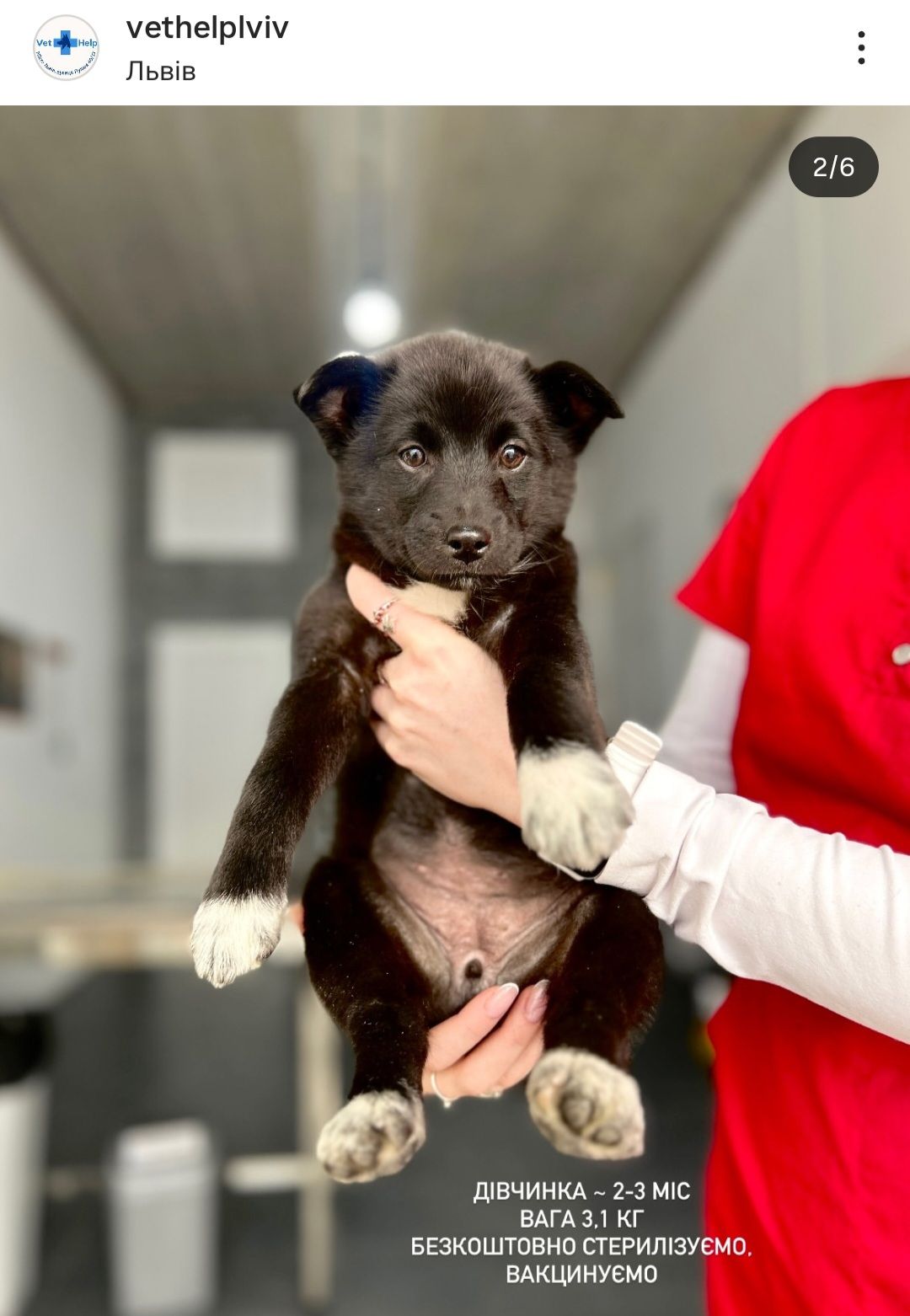 Дім малюкам, врятованим з морозу!