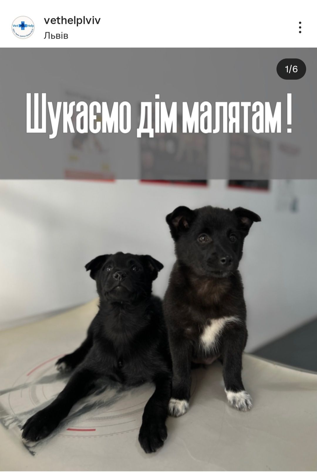 Дім малюкам, врятованим з морозу!