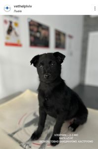 Дім малюкам, врятованим з морозу!