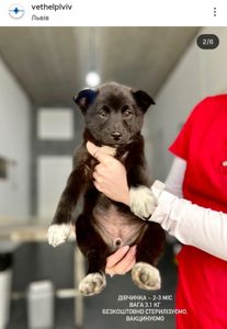 Дім малюкам, врятованим з морозу!