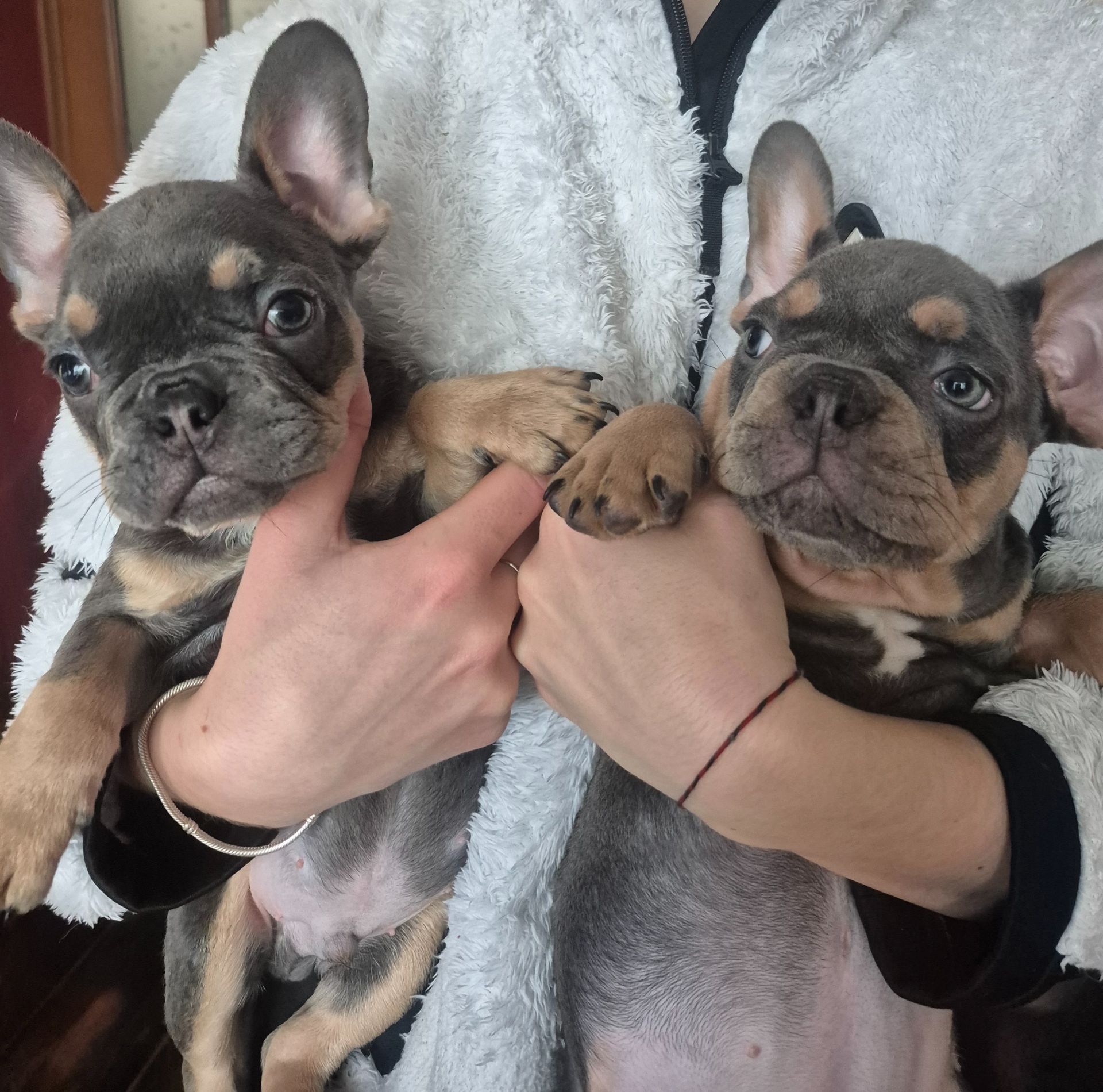 Просто Красень