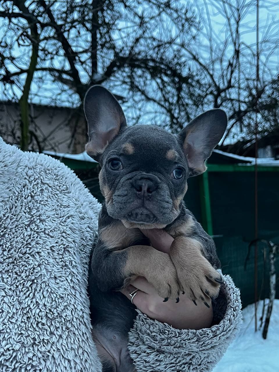 Просто Красень