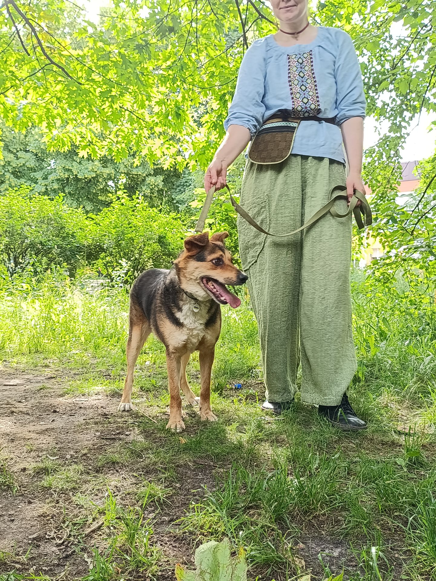 Молодий пес Боббі в пошуку крутої родини