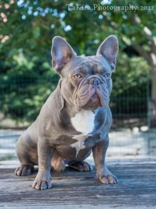 Просто Красень