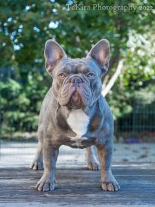 Просто Красень