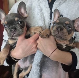 Просто Красень