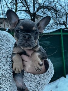 Просто Красень